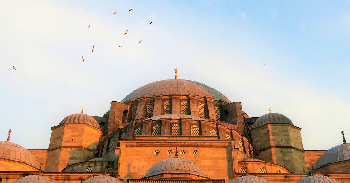 explore the diverse culture, stunning landscapes, and rich history of turkey with our comprehensive guide.
